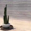 3D Product Rendering | Decorative Plant